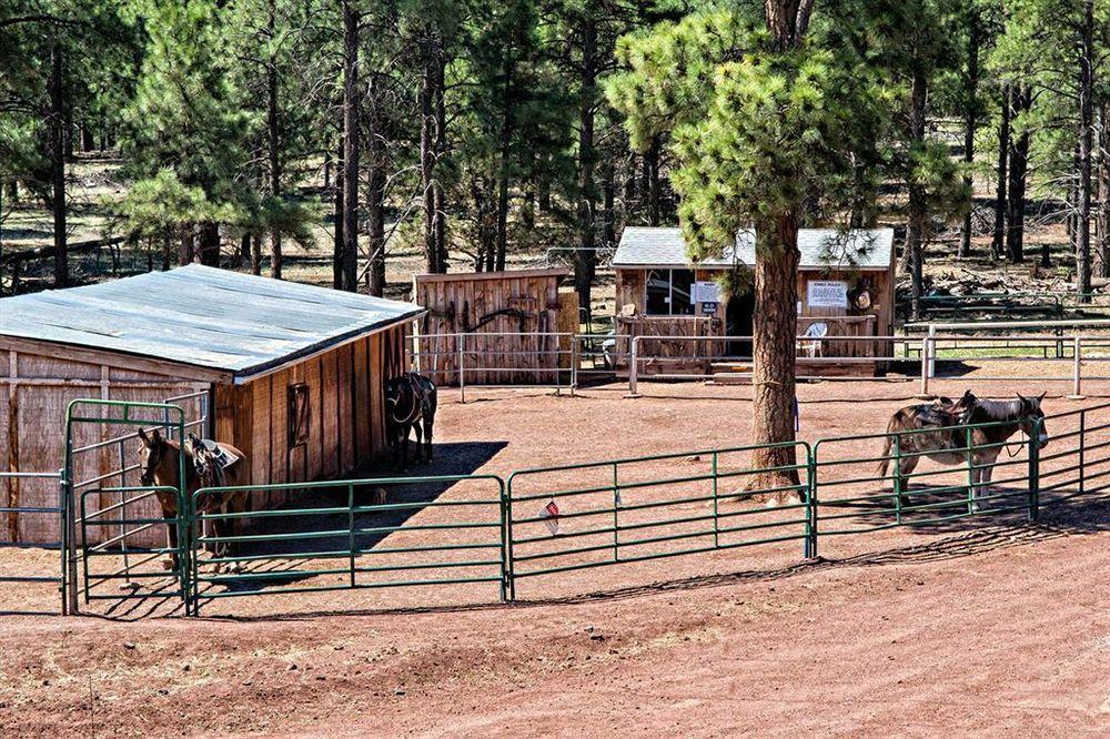 Mountain Ranch Resort At Beacon Hill Уилямс Екстериор снимка